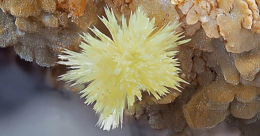 Misch-Kristalle Mimetesit-Pyromorphit xx Grube Clara bei Oberwolfach im Schwarzwald Misch-Kristalle Mimetesit-Pyromorphit xx Grube Clara bei Oberwolfach im Schwarzwald