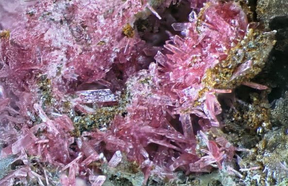 Erythrin xx Schmiedestollenhalde bei Wittichen im Schwarzwald