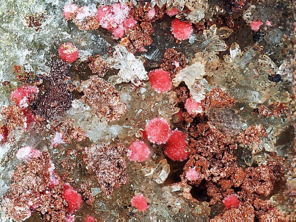 Erythrin xx Schmiedestollenhalde bei Wittichen im Schwarzwald Erythrin xx Schmiedestollenhalde bei Wittichen im Schwarzwald